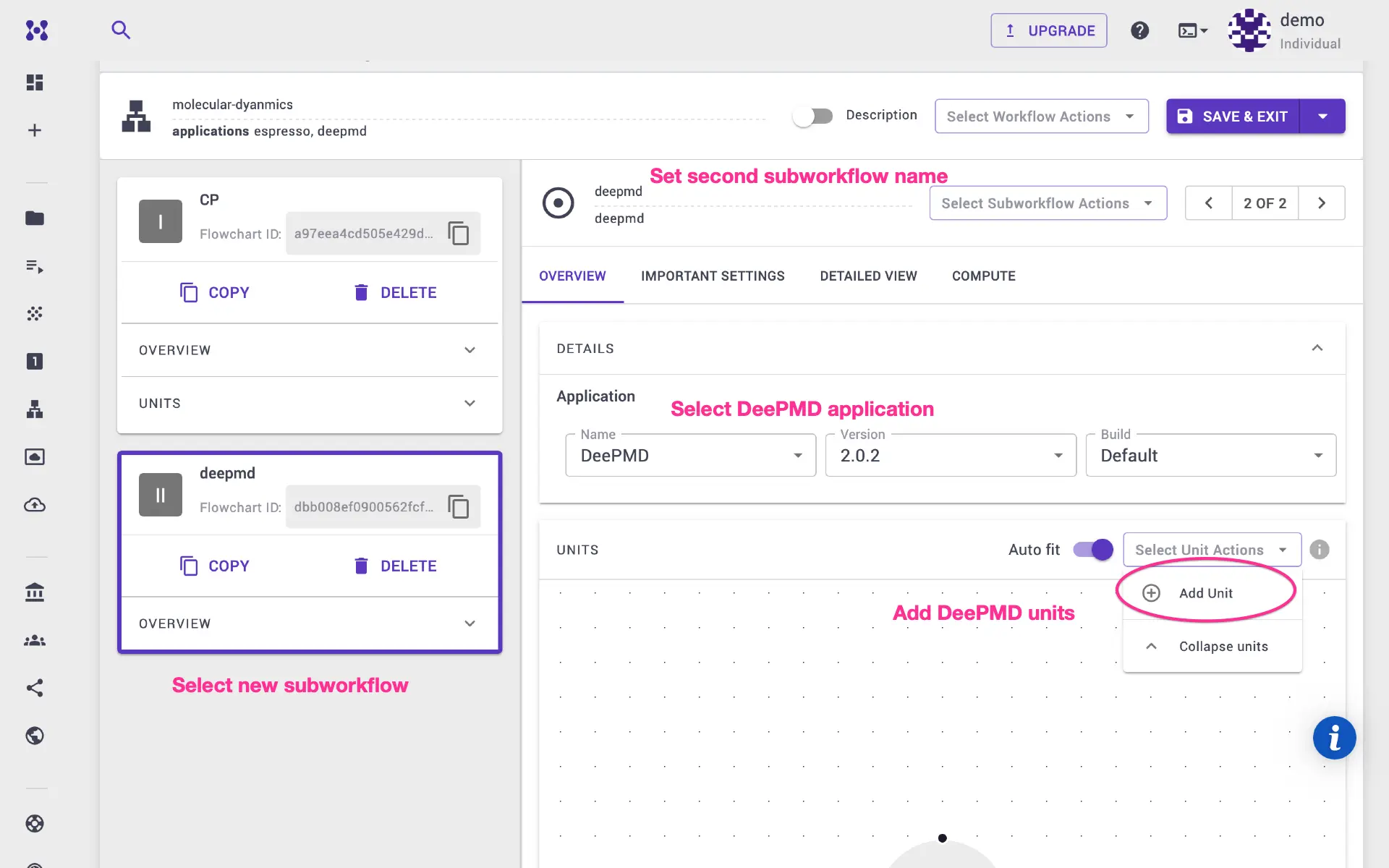 DeePMD set application and add units DeePMD set application and add units